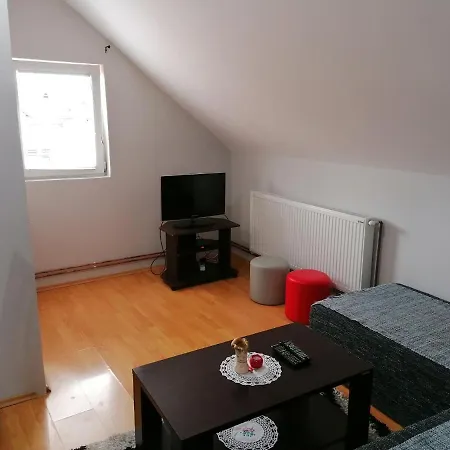 Apartment Vasic