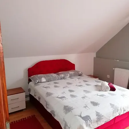 Apartment Vasic Banja Koviljaca