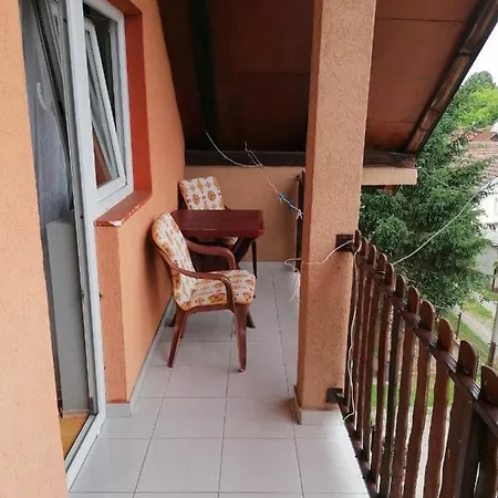 Vasic Apartment *