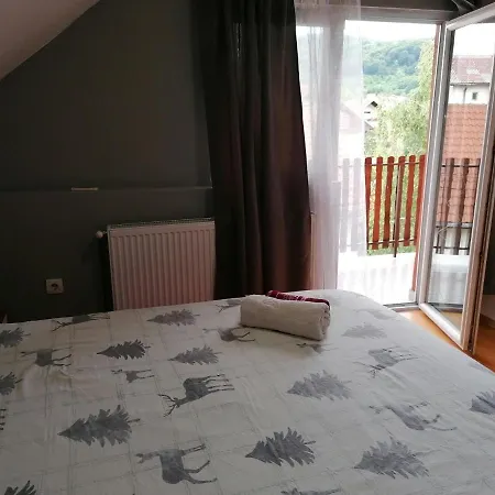 Apartment Vasic *